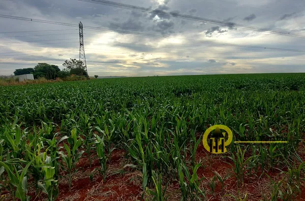 Terreno loteamento para venda,  ÁREA 22.000 METROS, AVENIDA RODOLFO KIVITZ, Felipadas, Nova Odessa