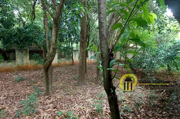 Chácara para venda, 3 quarto(s),  Jardim Marajoara, Nova Odessa