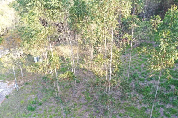 Sítio para venda,  , Tibagi