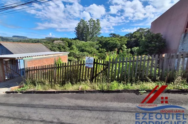 Terreno para venda,  Vila São Vicente De Paula, Telêmaco Borba