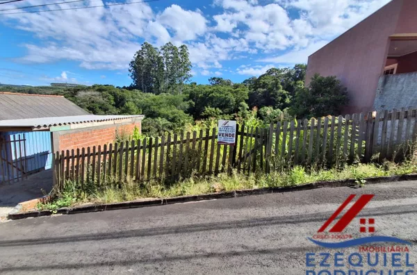 Terreno para venda,  Vila São Vicente De Paula, Telêmaco Borba