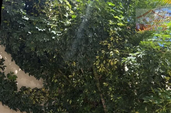 sobrado em condomínio para venda,  Jaraguá, São Paulo - Foto 15