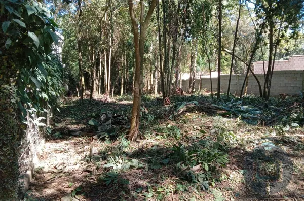 Terreno para venda 1 quarto(s) centro (mailasqui) são roque