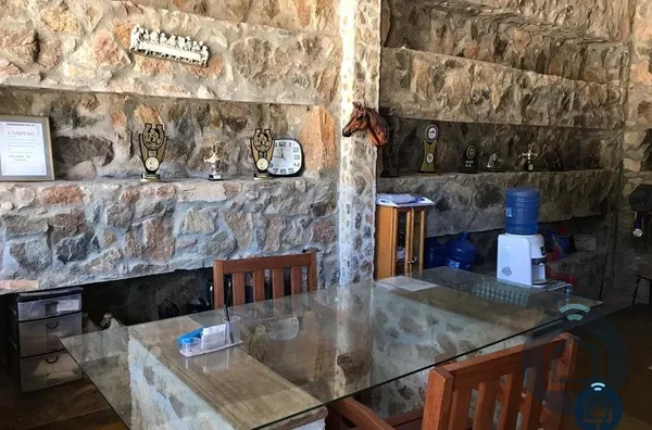 Hípica para investimento