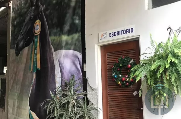 Hípica para investimento