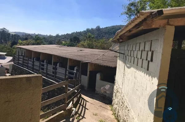 Hípica para investimento