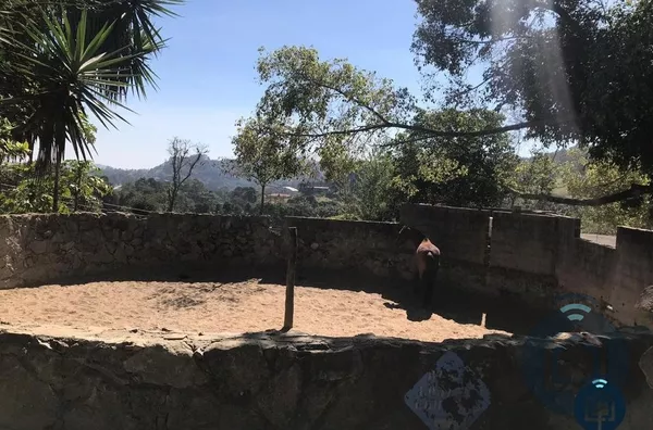 Hípica para investimento