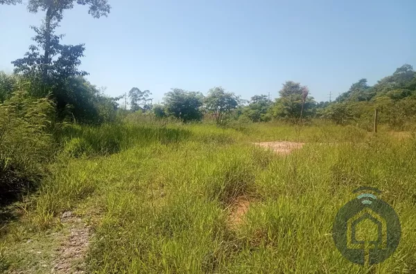 Terreno de 32.000 m² em Aracariguma: Amplitude e Potencial para Seus Projetos!