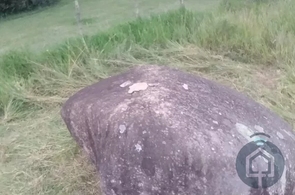 Terreno para venda 1 quarto(s) pinheirinhos são roque