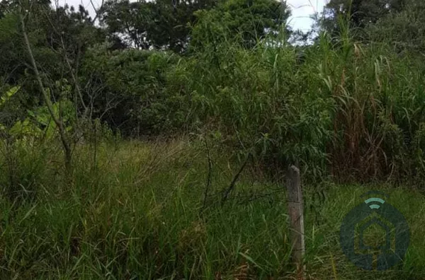 Terreno para venda 1 quarto(s) mailasqui são roque