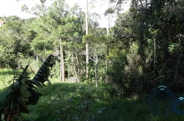 Terreno para venda 1 quarto(s) mailasqui são roque