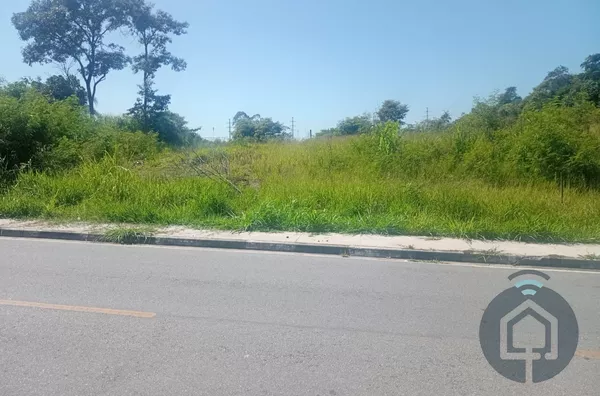 Terreno de 32.000 m² em Aracariguma: Amplitude e Potencial para Seus Projetos!