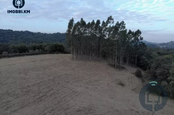 Sítio para venda 1 quarto(s) - selecione - bairro são paulo