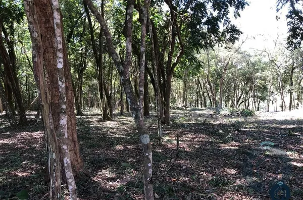 Espaço Ideal para seu Projeto: Próximo à Estrada do Vinho