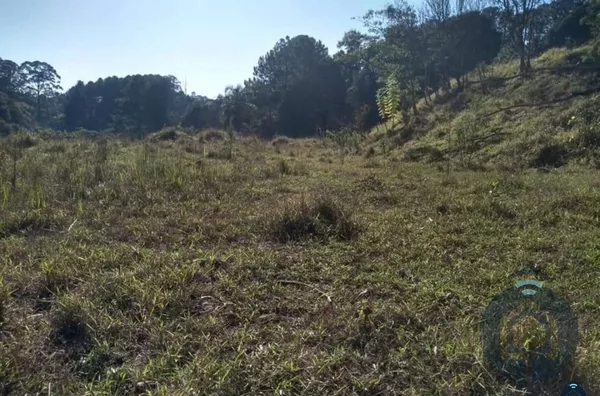 Terreno para venda 1 quarto(s) caete são roque