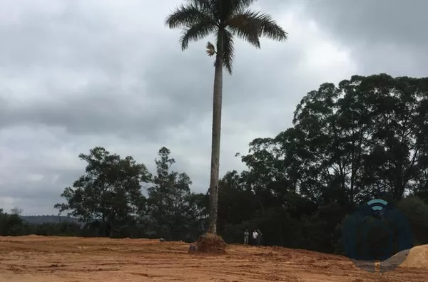 Área para investimento no interior de São Paulo