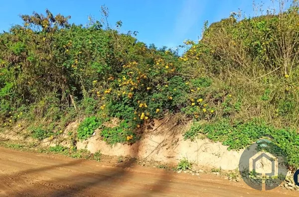 Terreno para venda 1 quarto(s) santa quitéria são roque