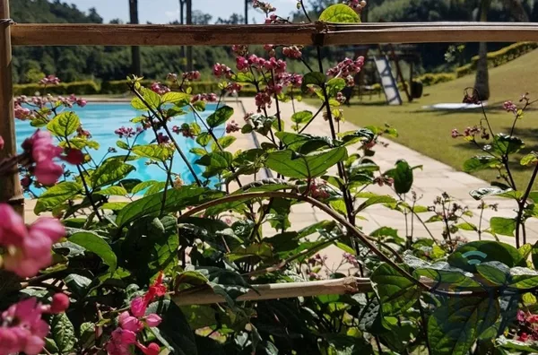 Sítio Encantador no Roteiro do Vinho em São Roque