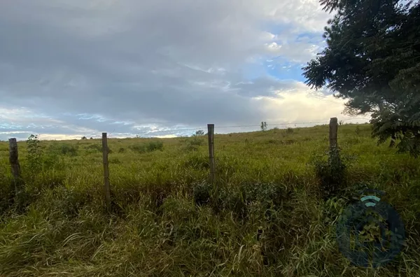 Área para investimento 