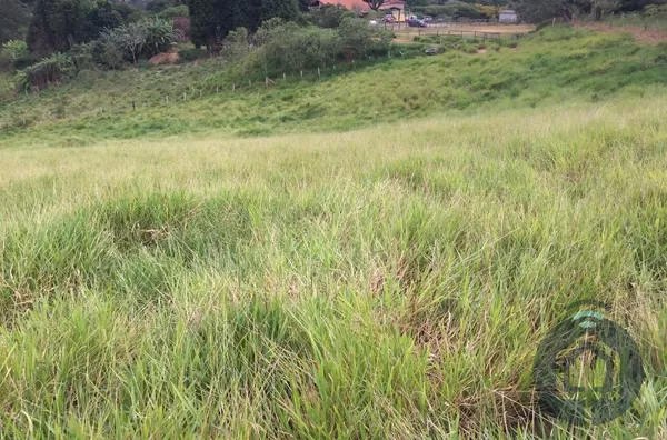 Terreno à Venda em São Roque – Localização Privilegiada e Grande Potencial!