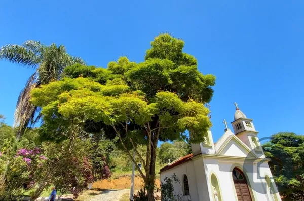 Lindo sítio para locação comercial