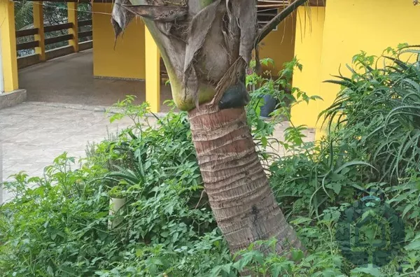 Chácara para venda,  Sitio Palmares, Mairinque