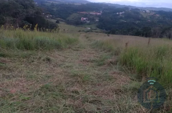 Terreno para venda 1 quarto(s) pinheirinhos são roque