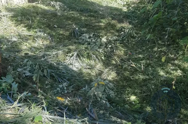 Terreno para venda,  Jardim Santa Maria, São Roque