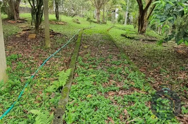 Chácara para venda, 3 quarto(s),  Jardim Caparelli (mailasqui), São Roque