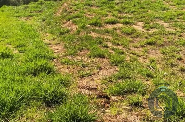 Terreno em condomínio  para venda,  Recanto Das Flores, Mairinque