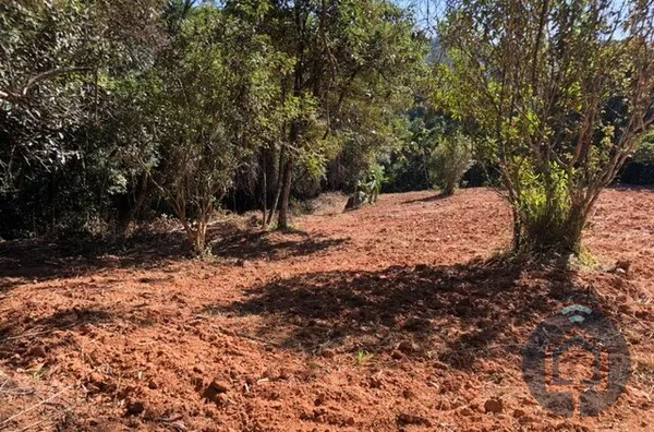 Terreno à Venda - Vila Darcy Penteado, São Roque