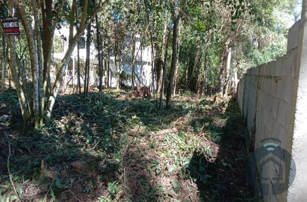 Terreno para venda 1 quarto(s) centro (mailasqui) são roque