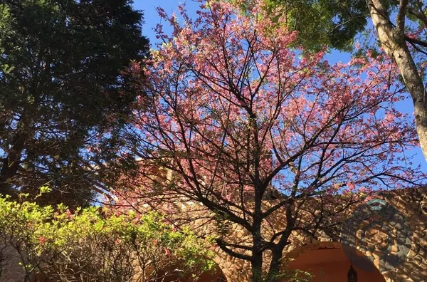 Excelente casa estilo sobrado de alto padrão