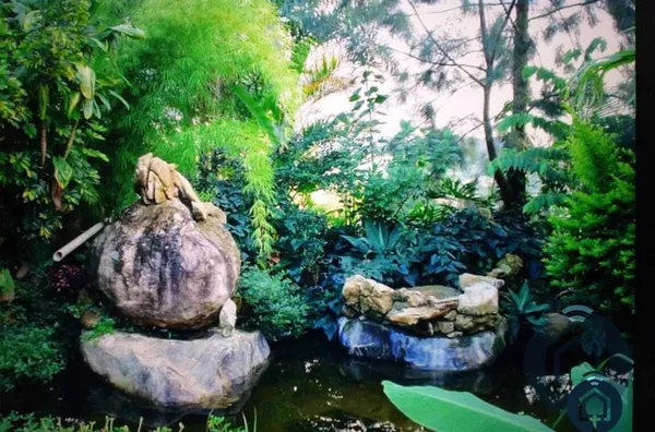 Restaurante para investimento 