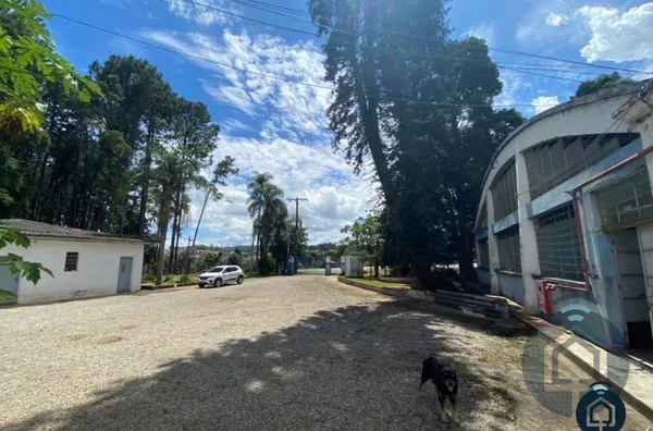 Área para investimento no interior de São Paulo