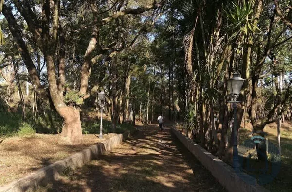 Chácara para venda, 3 quarto(s), Bairro Da Canguera, Capela Do Alto - Foto 29