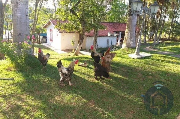 Chácara para venda, 3 quarto(s), Bairro Da Canguera, Capela Do Alto - Foto 42