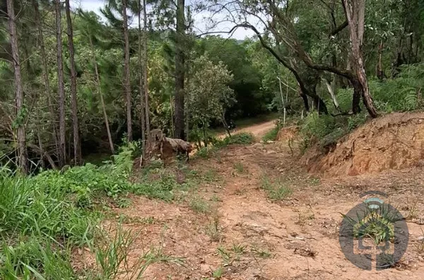 Terreno Exclusivo em Mailasque – 2.500 m² com Frente para o Lago