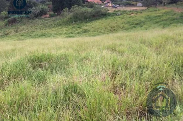 área para investimento na estrada do vinho