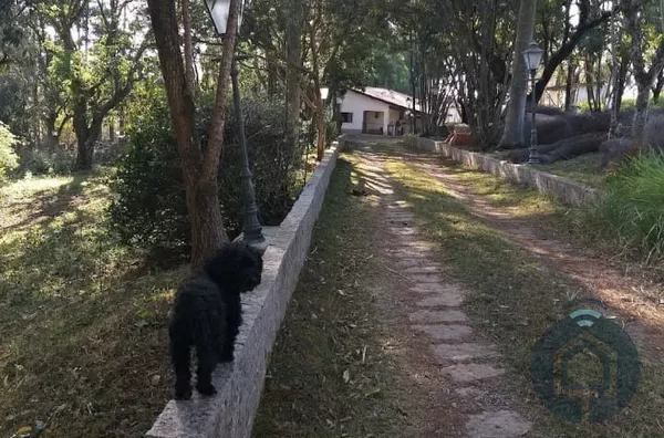 Chácara para venda, 3 quarto(s), Bairro Da Canguera, Capela Do Alto - Foto 20