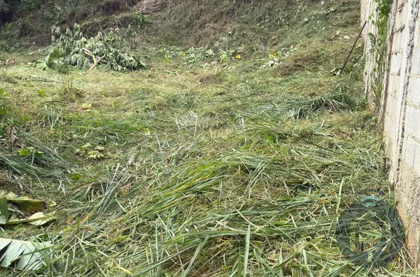 Terreno para venda,  Parque Aliança, São Roque