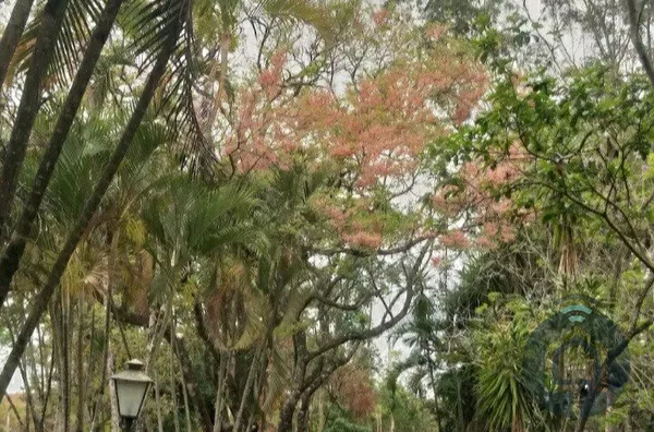 Chácara para venda, 3 quarto(s), Bairro Da Canguera, Capela Do Alto - Foto 45