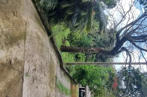 Chácara para venda, 3 quarto(s), Jardim Caparelli (mailasqui), São Roque - Foto 12