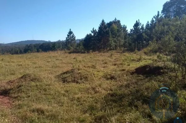 Terreno para venda 1 quarto(s) caete são roque