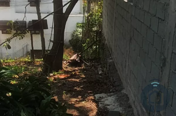 Terreno com ótima localização 