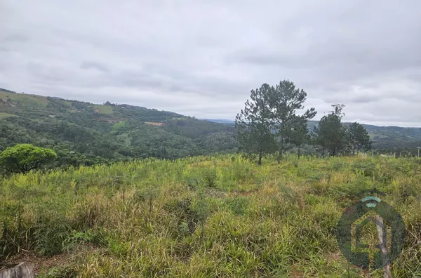 Terreno para Aluguel na Estrada Turística do Morro do Saboó – 240.000 m² em Localização Privilegiada