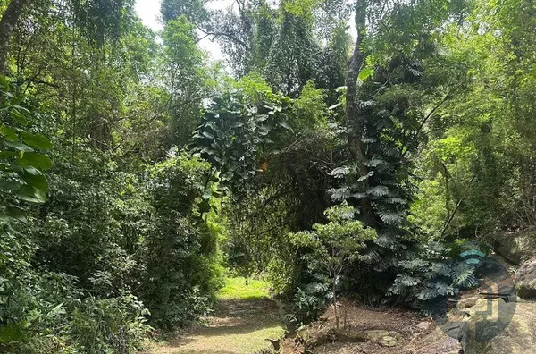 Sítio para venda, 5 quarto(s),  Recanto Dos Eucaliptos, São Roque