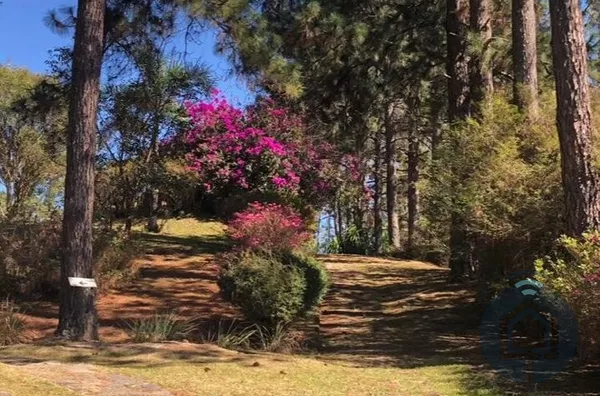 Linda propriedade completa e acolhedora!