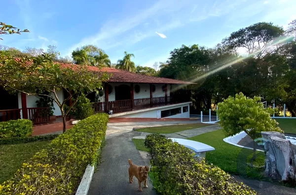 Sítio para venda 7 quarto(s)  mairinque