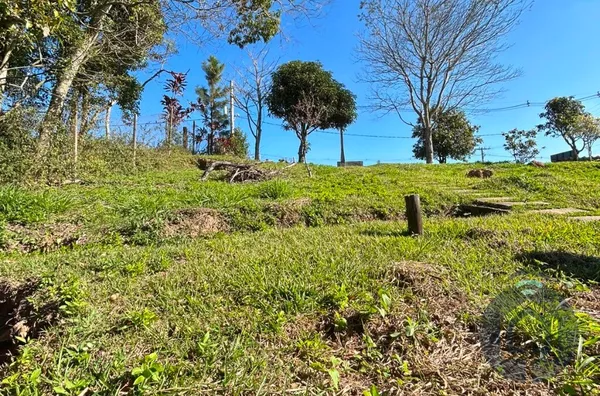 Terreno com galpão e casa de apoio!